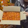 Курага субхан узбекська 5кг
